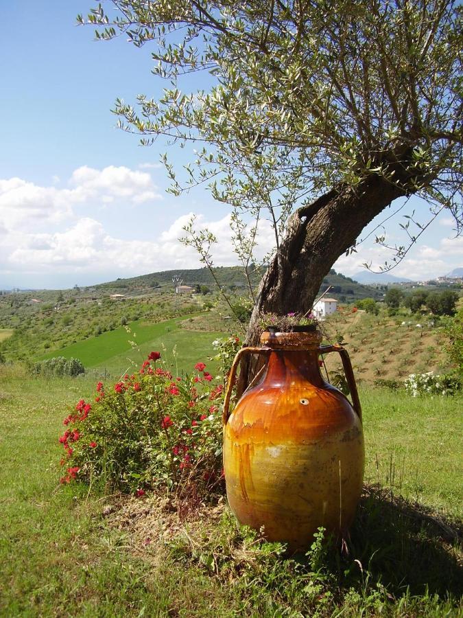 Abruzzocasacampagna Collecorvino - Monolocale Con Mini-Cucina, Giardino E Parcheggio Villa Екстериор снимка